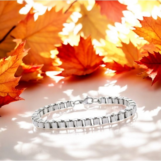 Full Steel Bracelet 10940